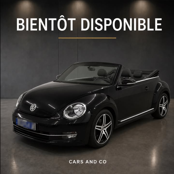 Cars And Co snc